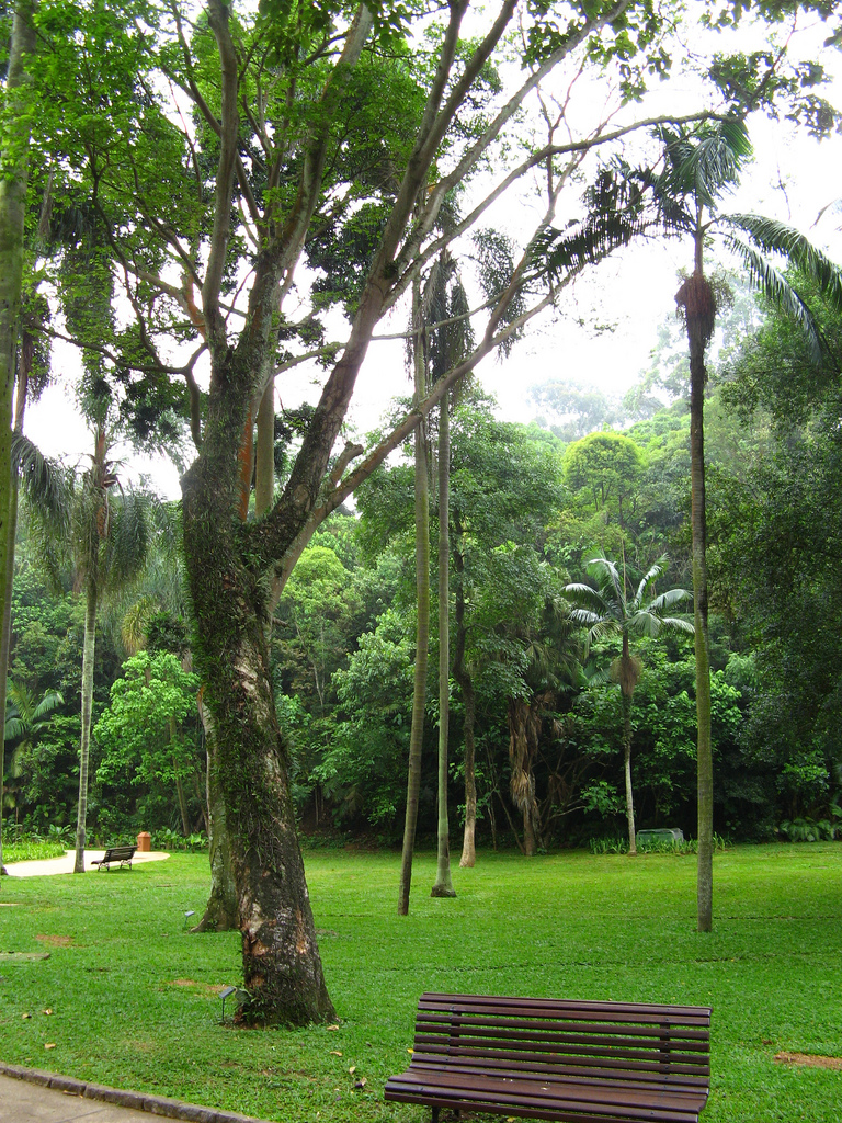 Pau Pereira