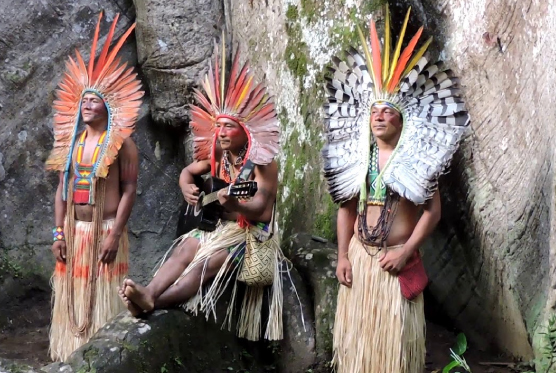 Shawadawa tribe Arara